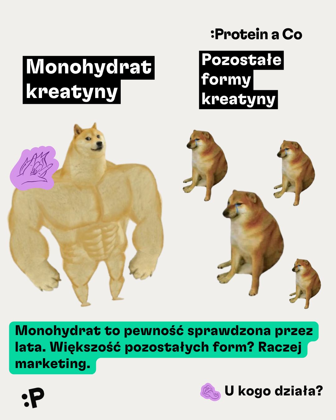 Monohydrat kreatyny-2-PL-clanek-vyziva-proteinaco